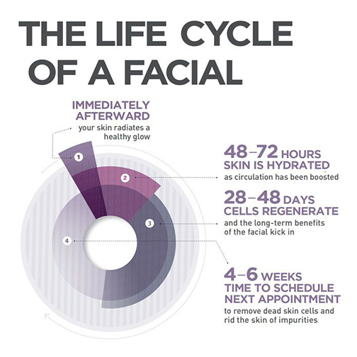 facial-life-cycle